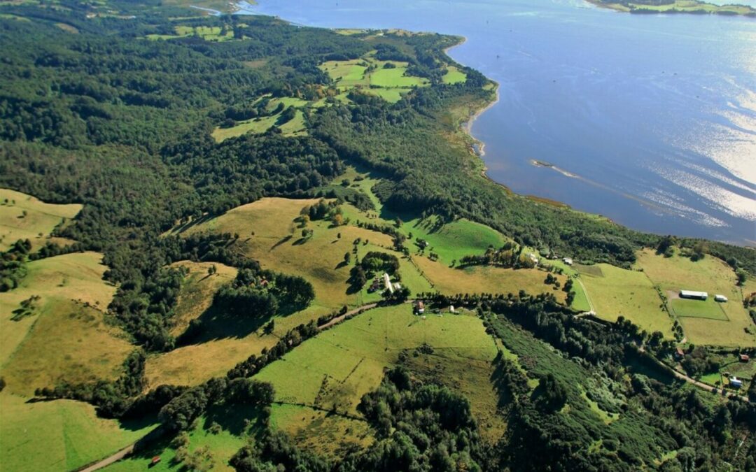 Campo Con Mar en Ancud