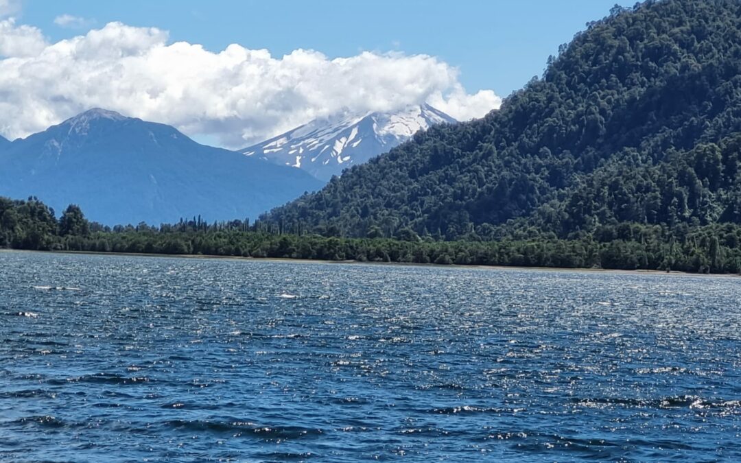 Fundo Con Orilla de Lago Cayetué