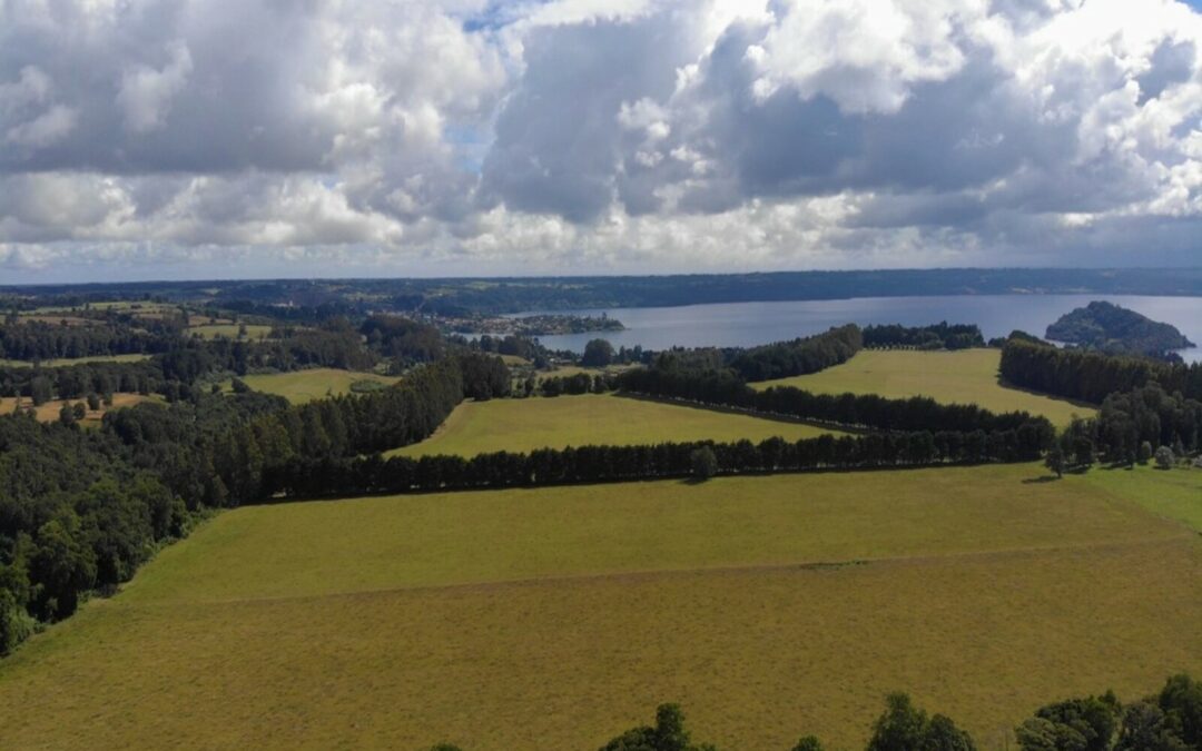 Fundo Con Lago Llanquihue