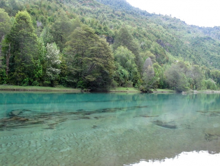 Fundo con Río Traidor en Cochamó