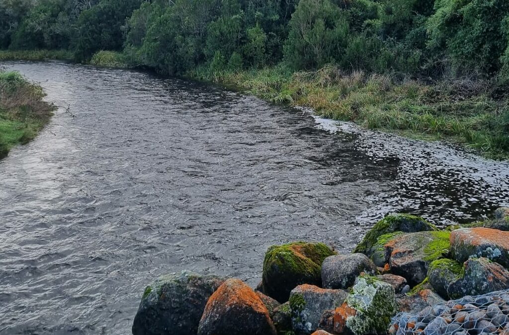 Fundo Lomas de Llanquihue