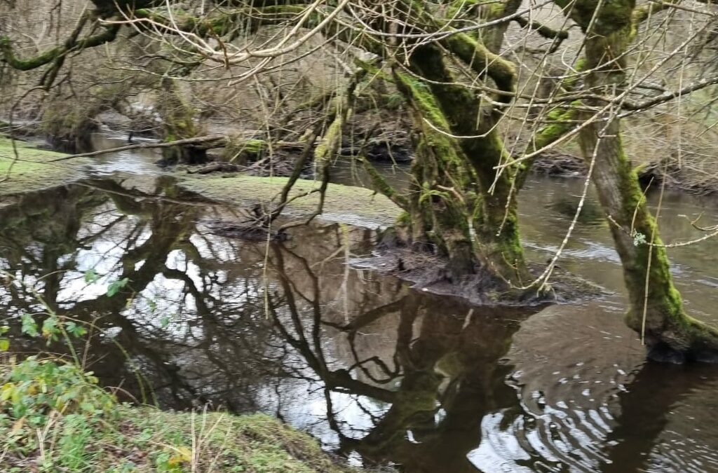 Campo con Río Chifin en Río Negro