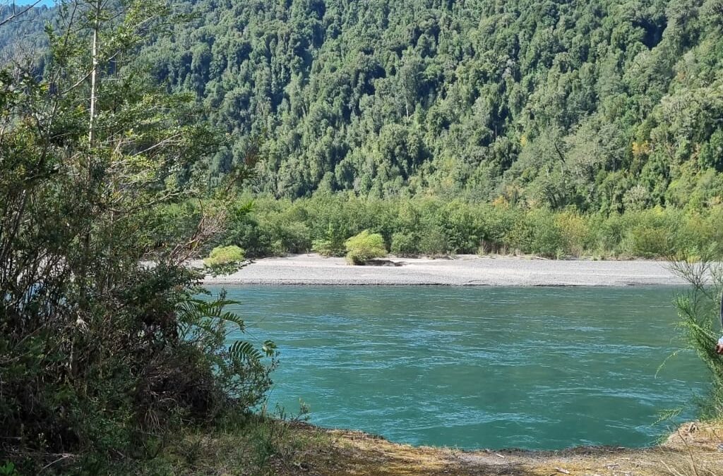 Campo con Orilla de Río Petrohué