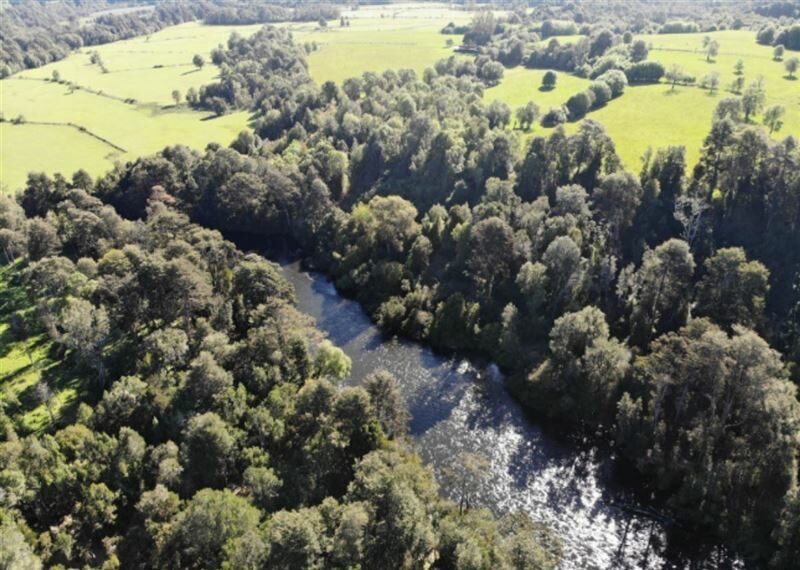 Parcela con Ribera del Río Maullín