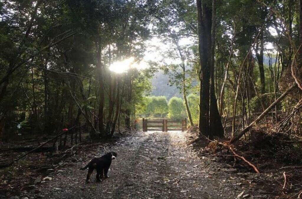 Parcela de 1 has En Parque Privado, Ralún