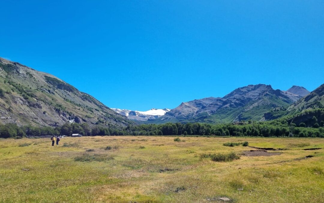 Fundos para ganadería en el sur de Chile