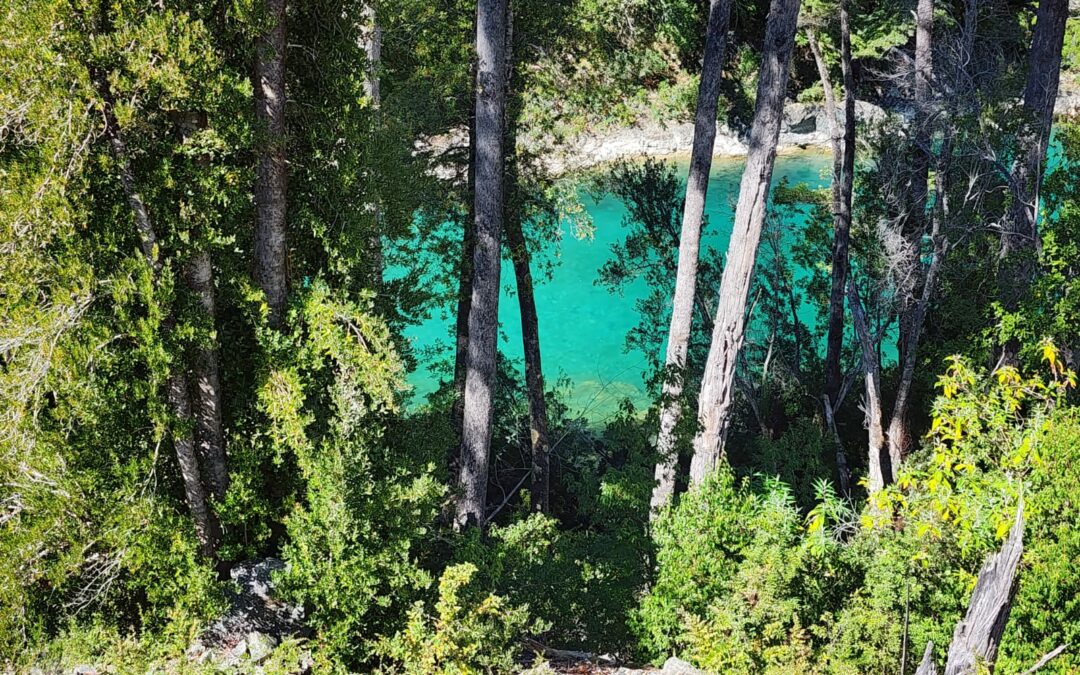 Parcela de 2 has con vistas al Río Puelo