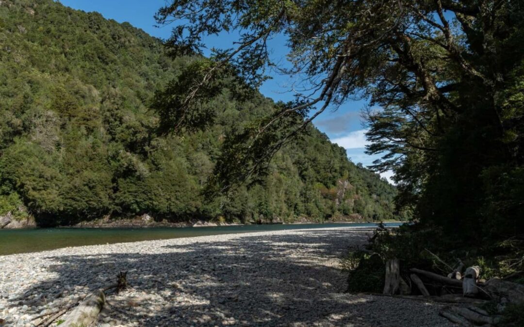 Parques de conservación con bosque nativo en el sur de Chile