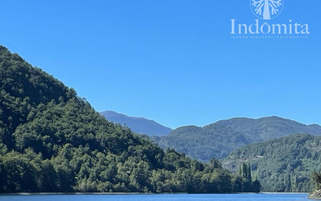 Parcela con Orilla y Vista al Lago Blanco