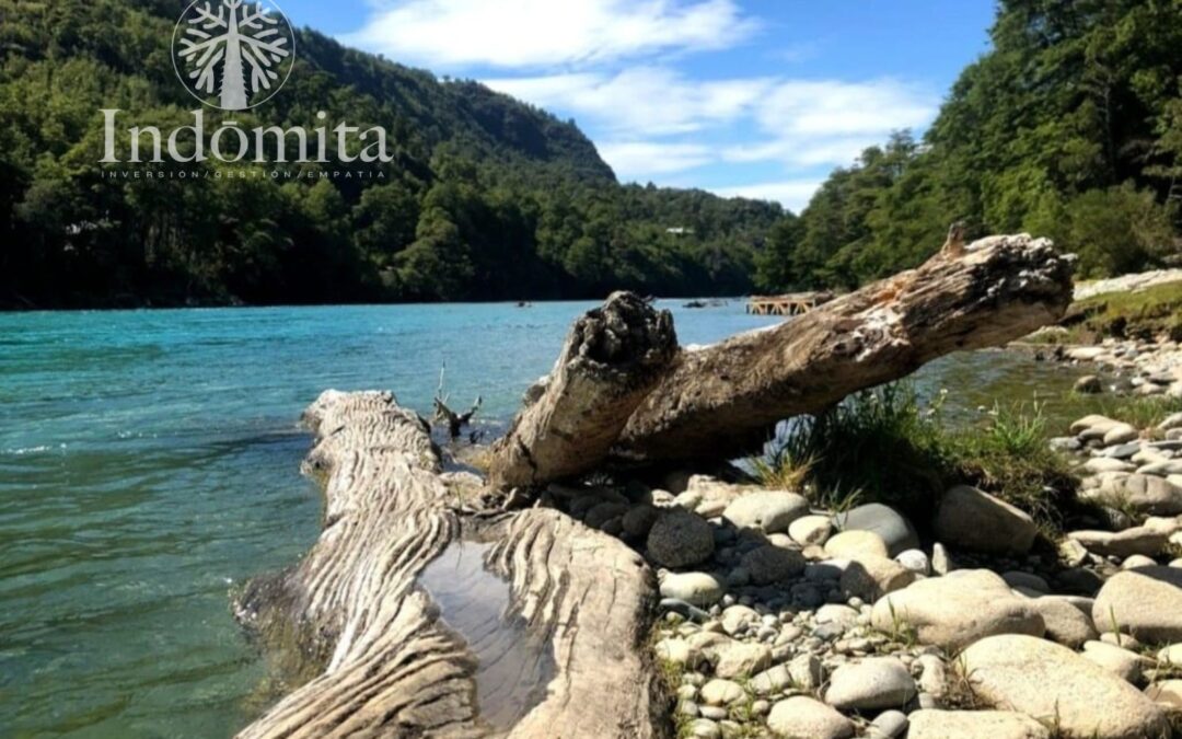 Parques de conservación cerca de reservas naturales en el sur de Chile