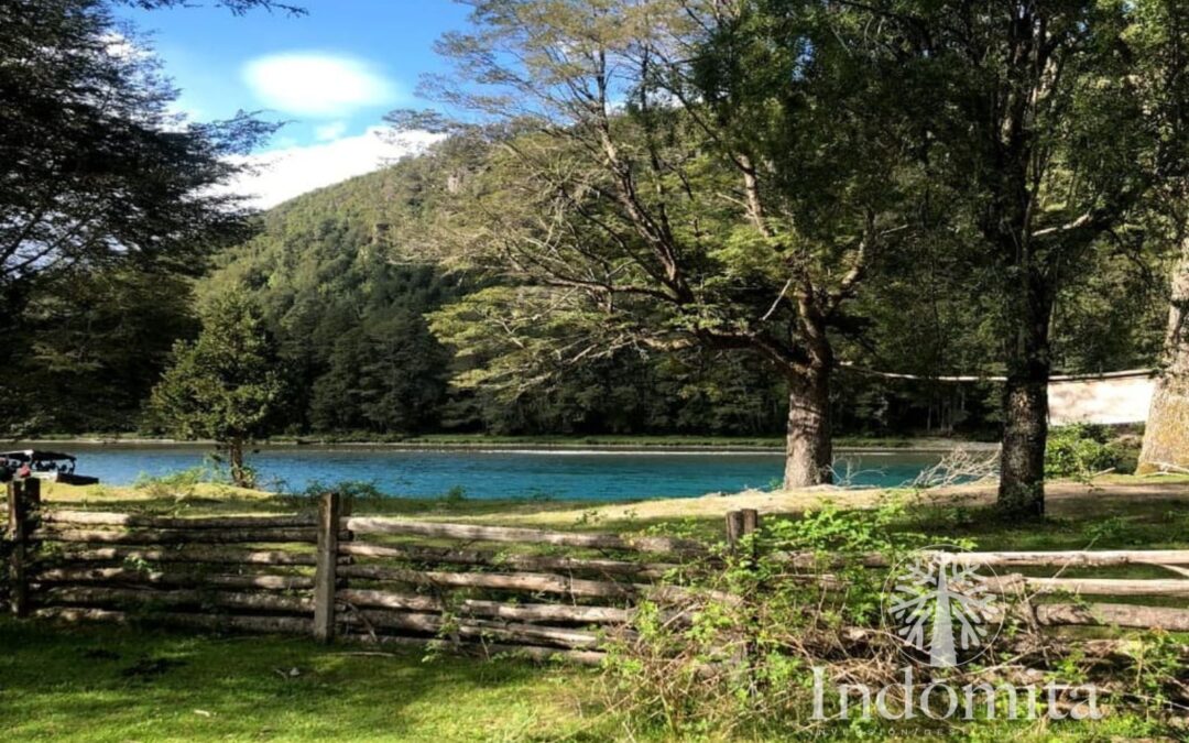 Venta de Campos agrícolas en el sur de Chile