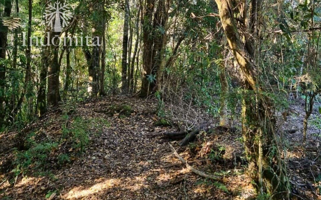 Parcela Con Estero En Av Las Lomas, Puerto Varas