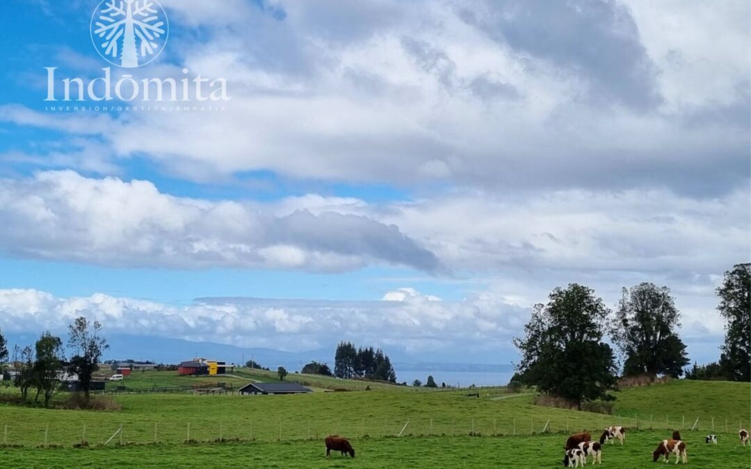 Parcelas En Condominio Con Vista Al Lago Y A Volcanes