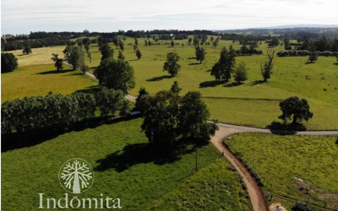 Lindas Parcelas A Pasos Del Río Chifin Y A 4km Del Pueblo