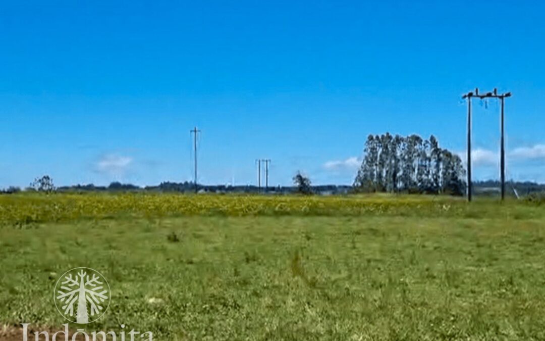 Terrenos planos en el sur de Chile