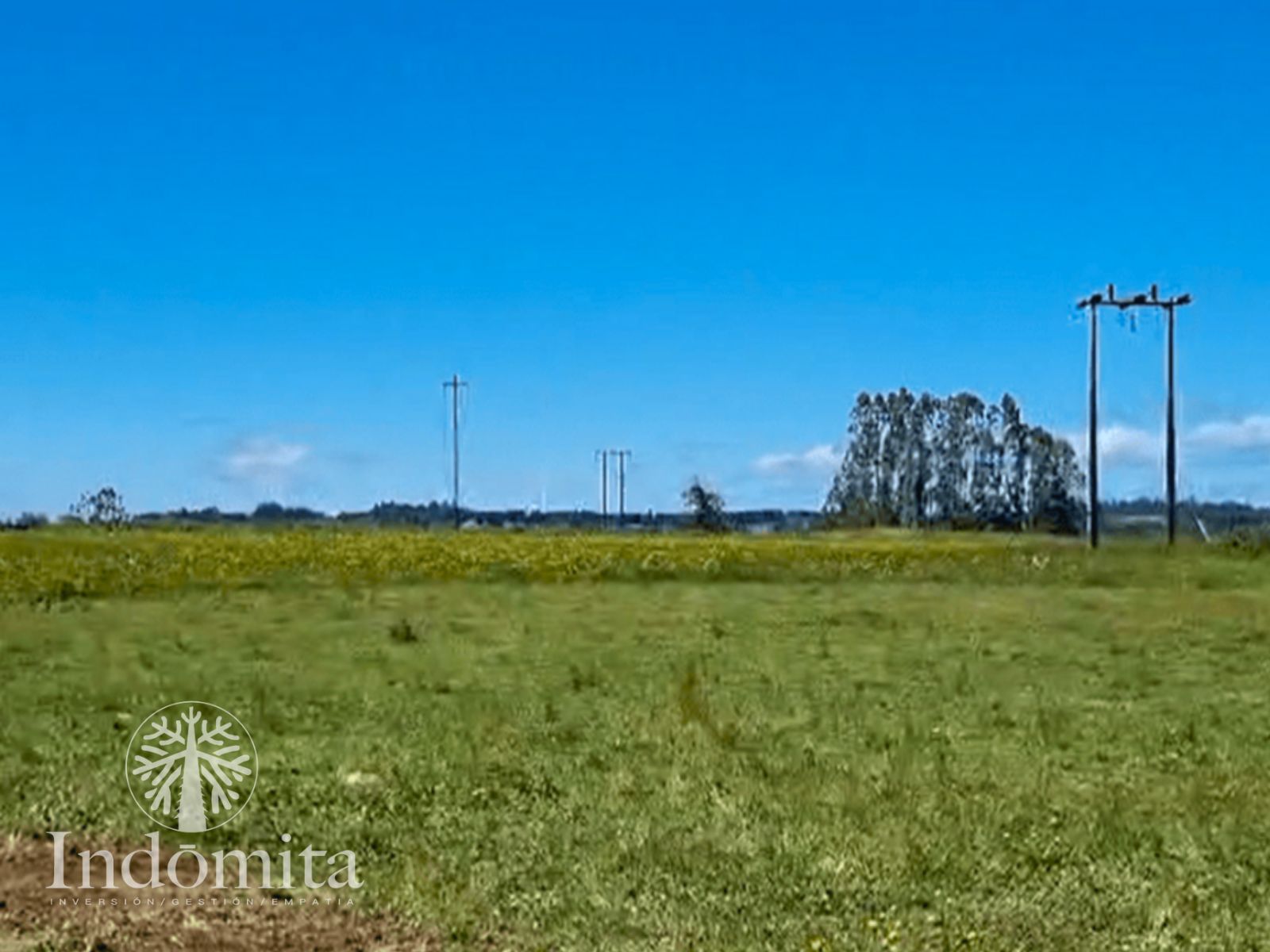 Terrenos planos en el sur de Chile