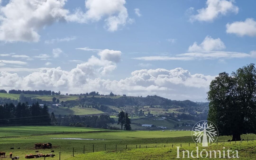 Terrenos con pendiente en el sur de Chile