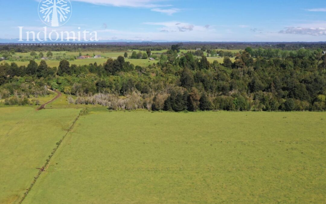 Terrenos agrícolas en el sur de Chile