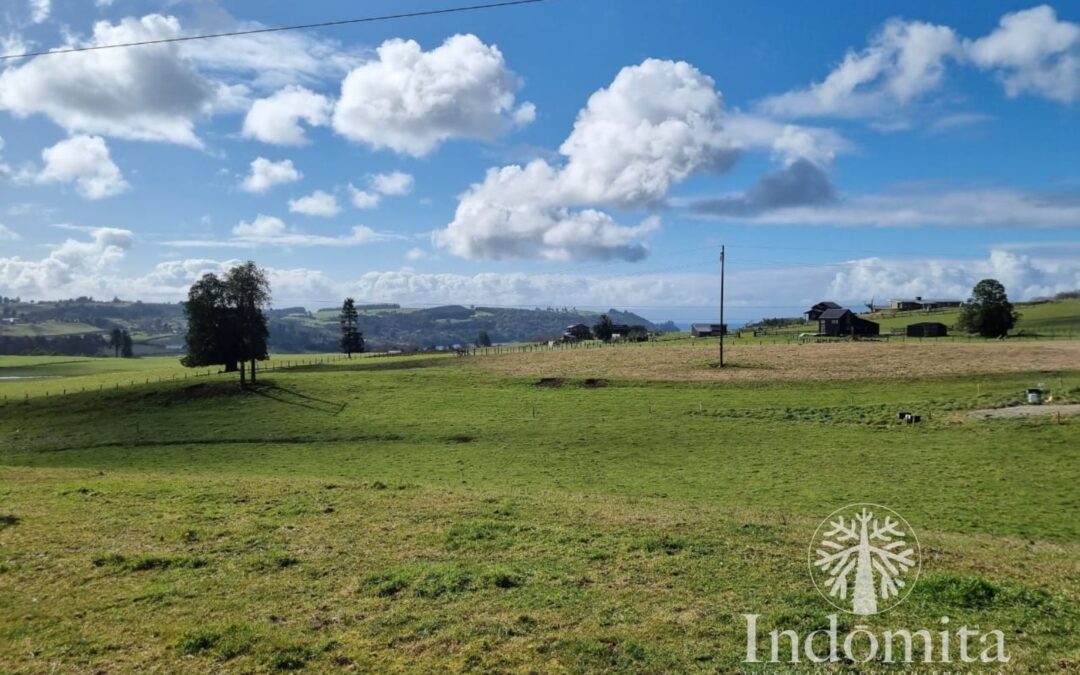 Parcela De 1 Ha Con Increíble Vista Al Lago Llanquihue