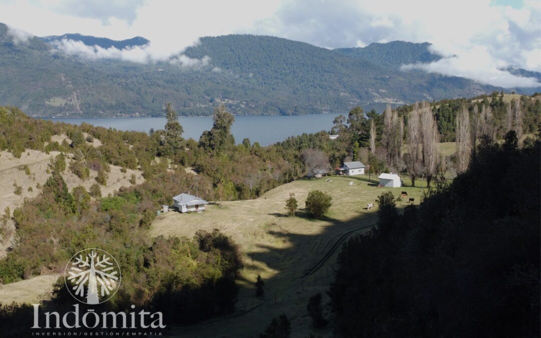 Hermoso Campo Con 135 Metros De Orilla De Lago Rupanco