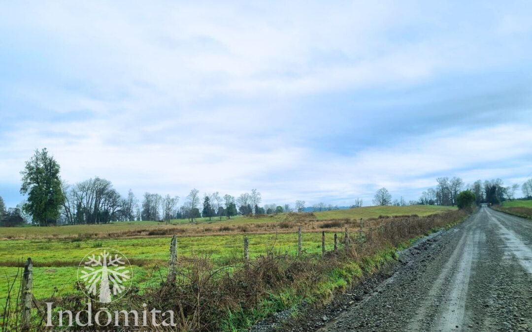 Campo de 11 has en Río Negro a pasos de la carretera 5 Sur