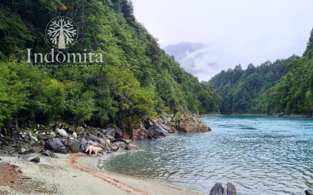 Campo Con 2.700 Metros De Orilla De Río Puelo