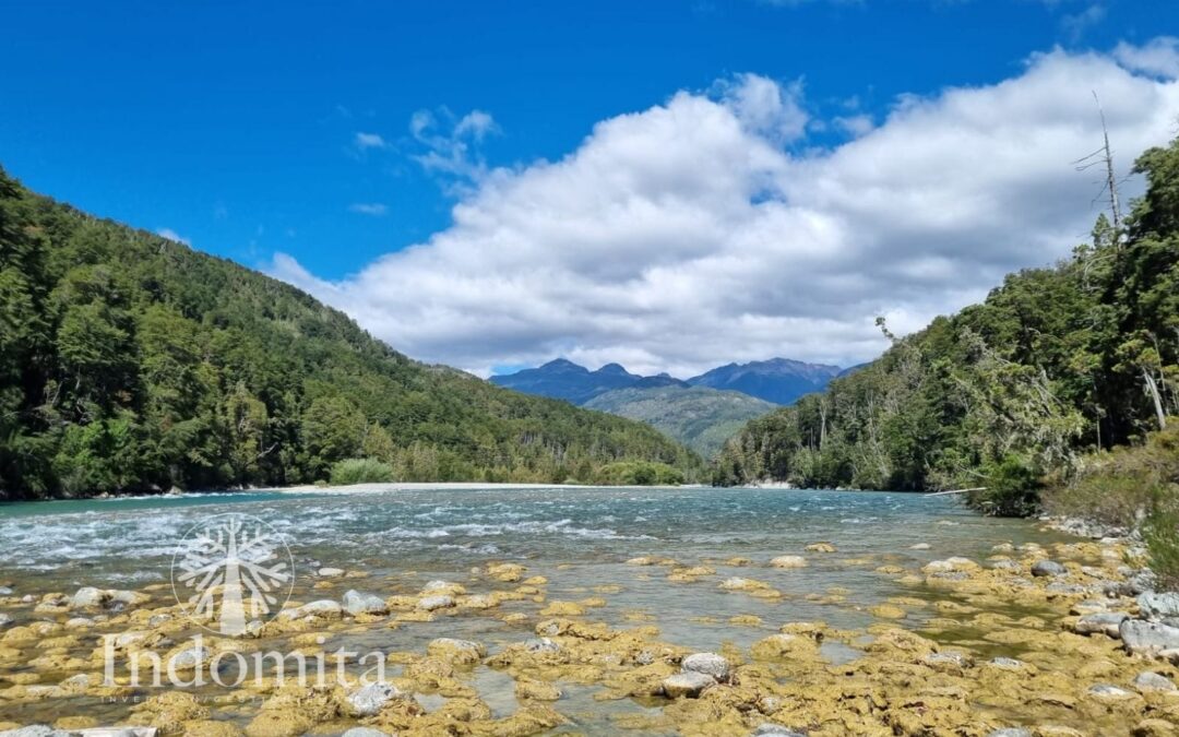 Campo Con 147.2 Metros Orilla De Río Puelo En Segundo Corral