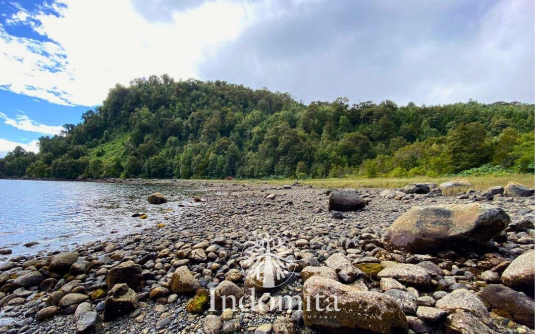 Campo En Desembocadura De Río En Chaitén